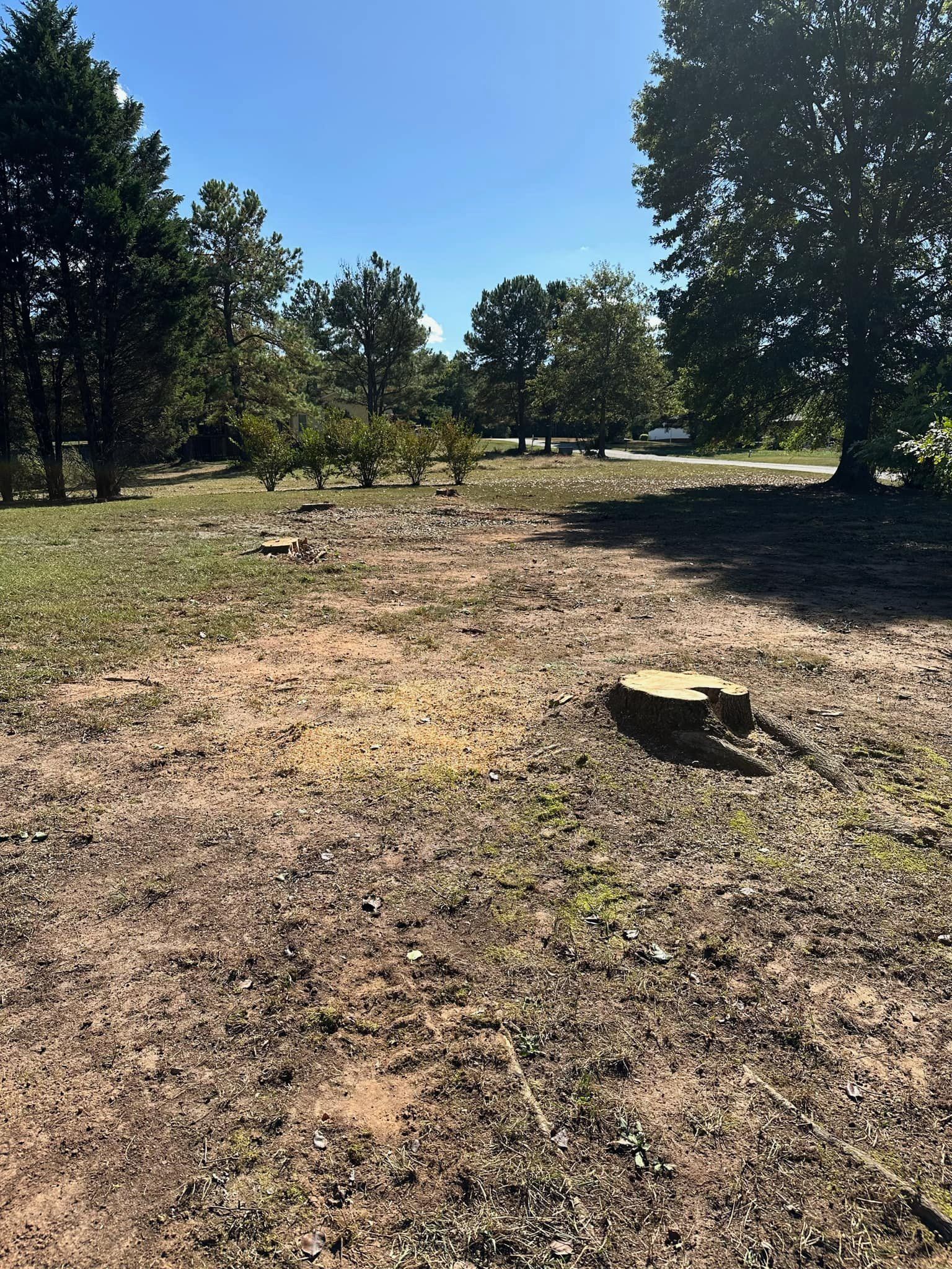 A stump in the middle of a dirt field with trees in the background.