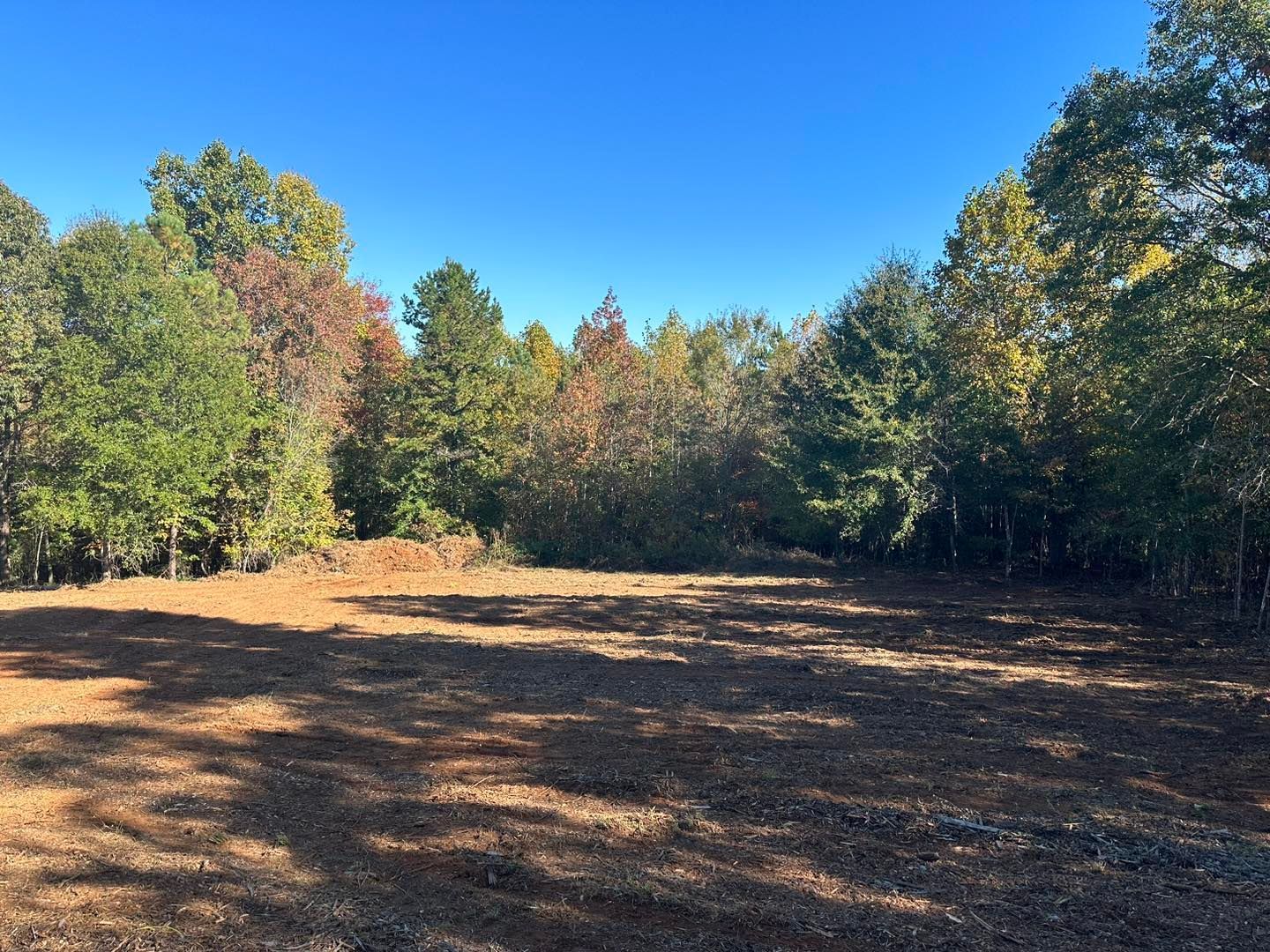 A field with trees in the background and a blue sky