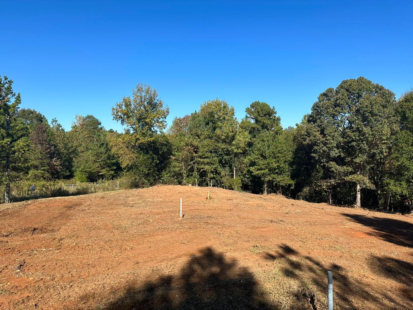 A dirt field with trees in the background and a blue sky