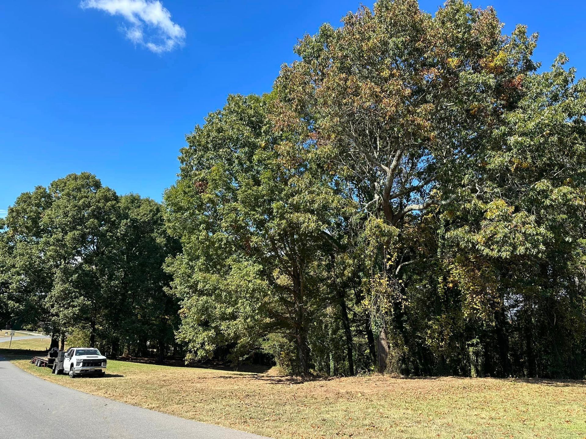 A white truck is parked on the side of a road next to trees.
