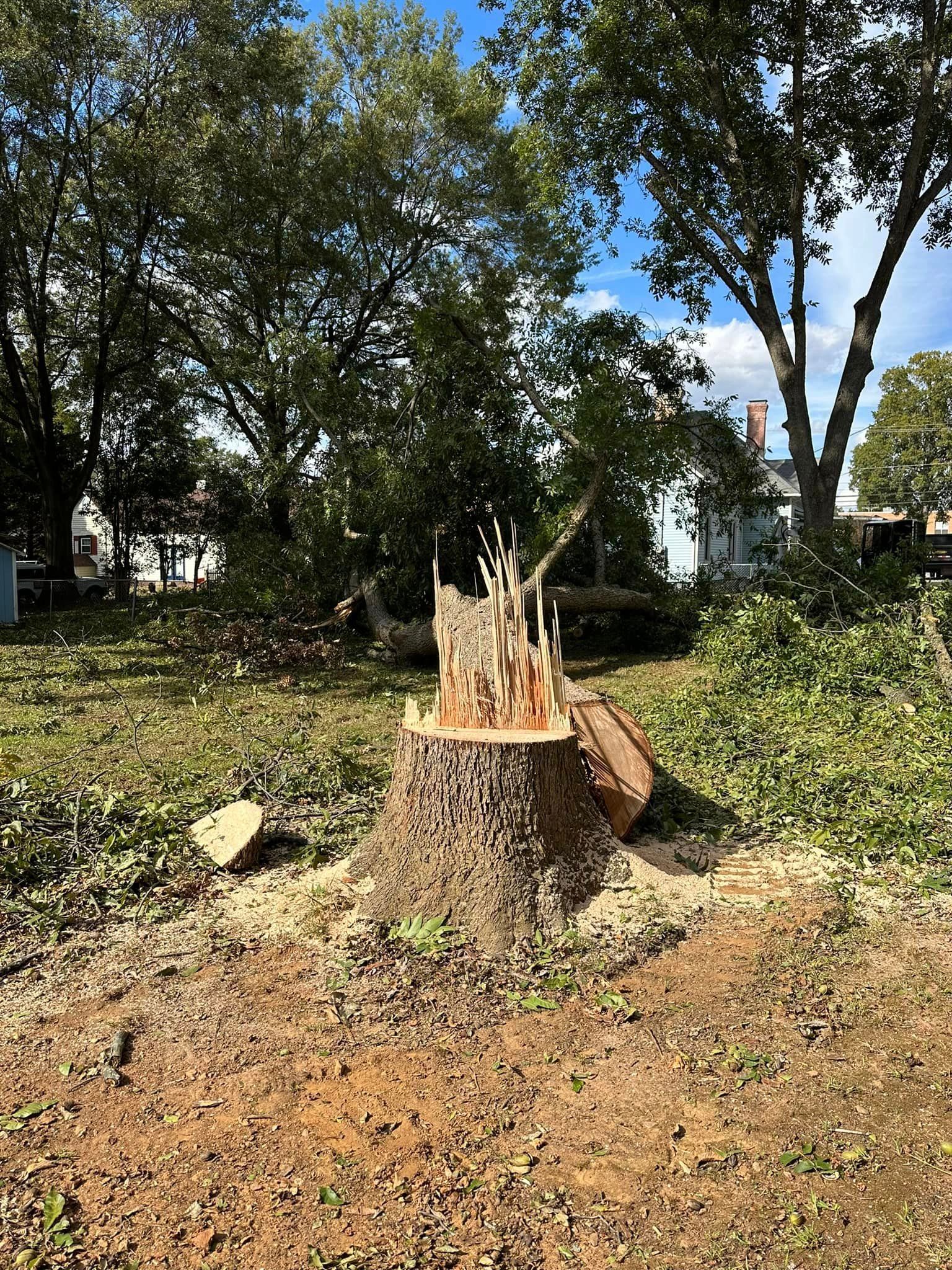 A tree stump is sitting in the middle of a grassy field.