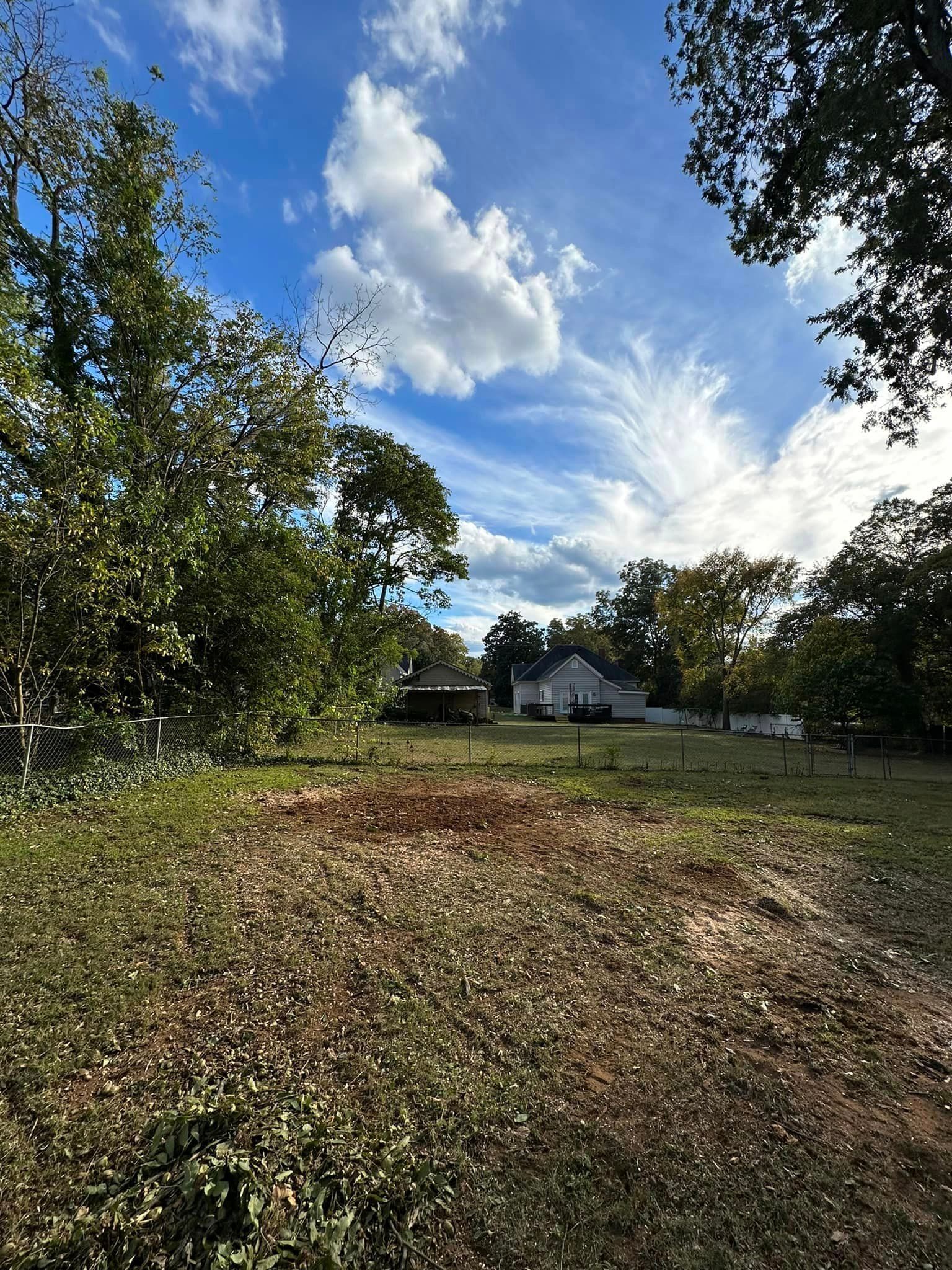 A large grassy field with trees in the background and a blue sky with clouds.