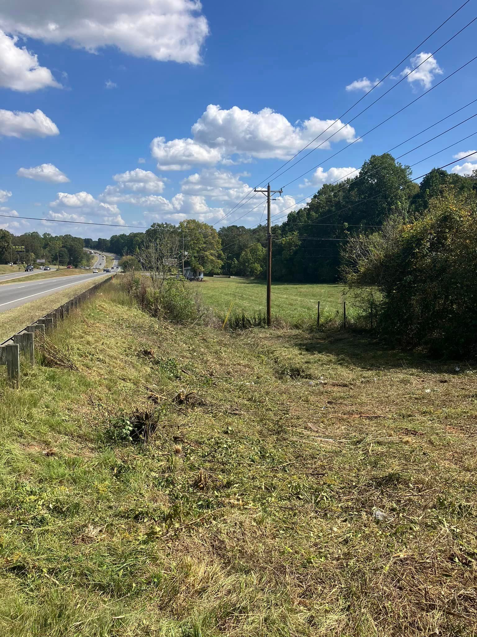 A grassy field next to a road with trees and power lines.