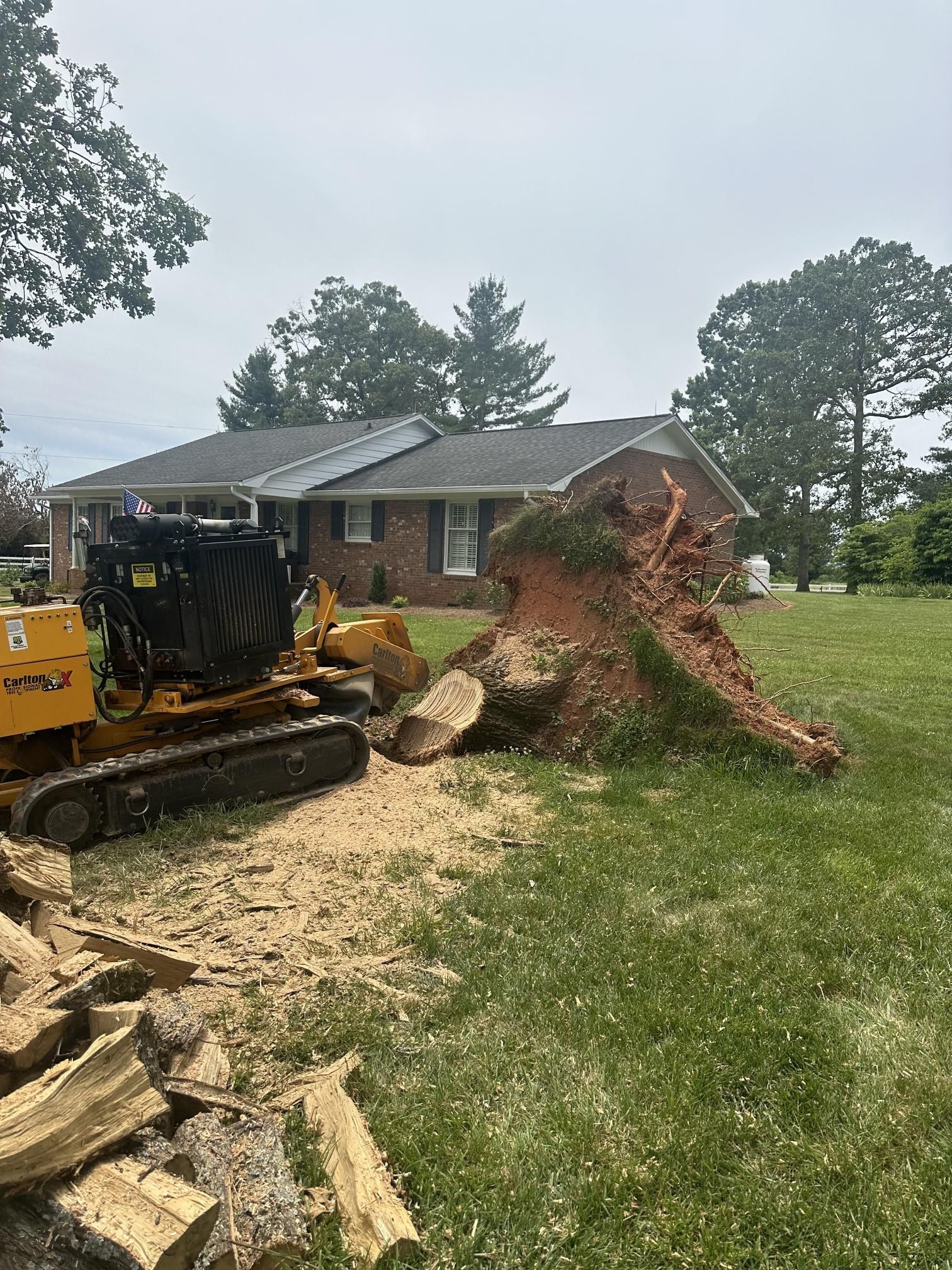 A large tree stump is being removed from a yard in front of a house.