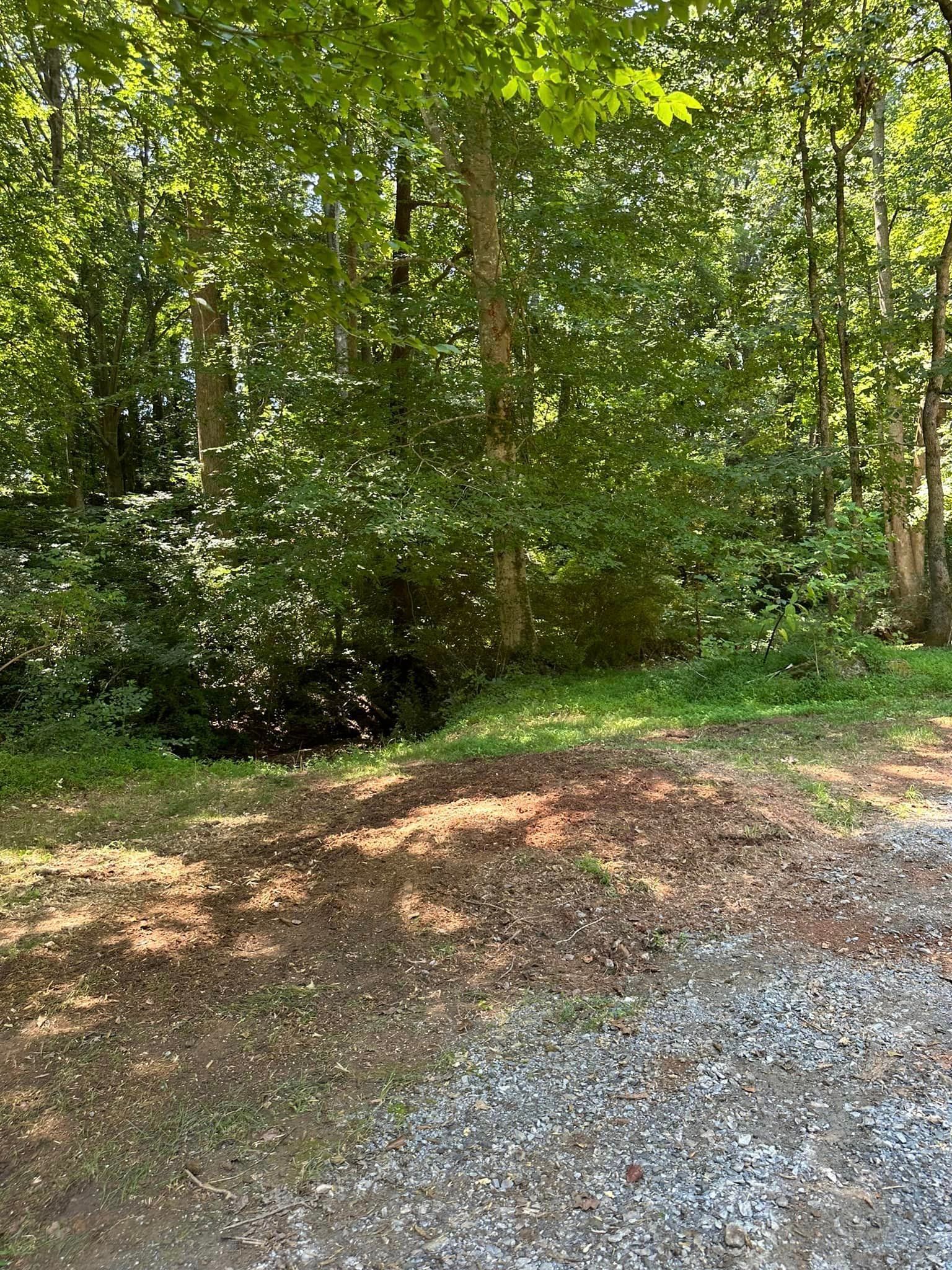 A dirt road in the middle of a forest with trees in the background.