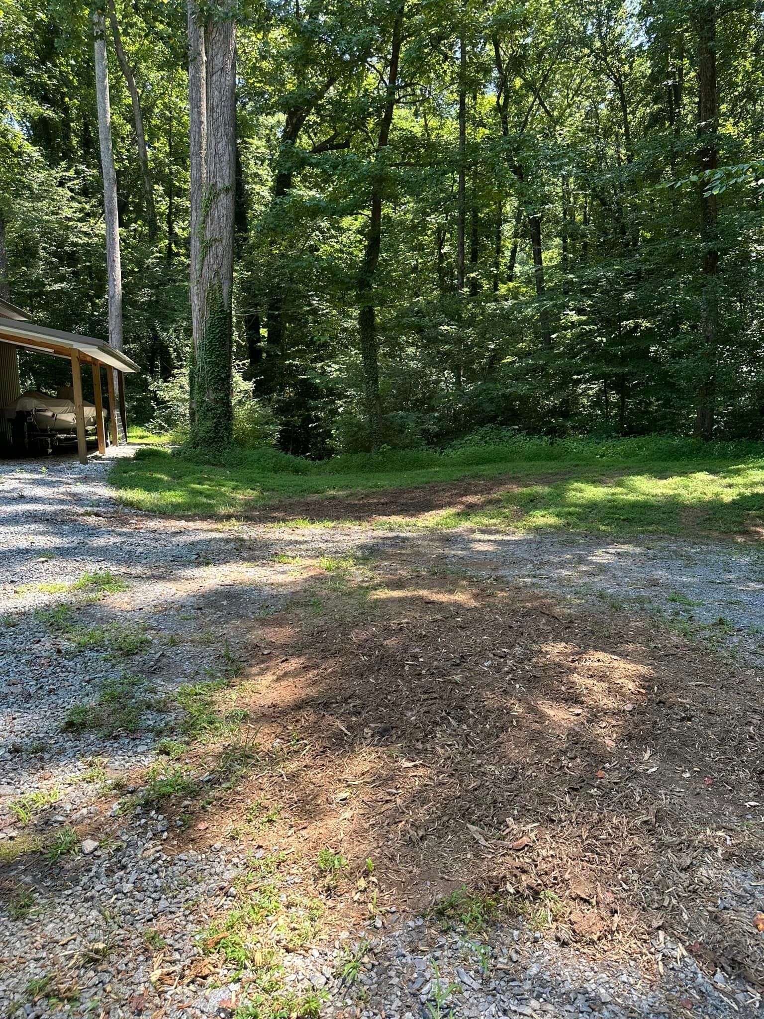 A gravel road in the middle of a forest with trees in the background.