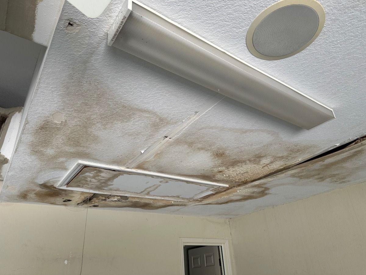 A ceiling with extensive brown water stains, mold growth, a light fixture, and an access panel.