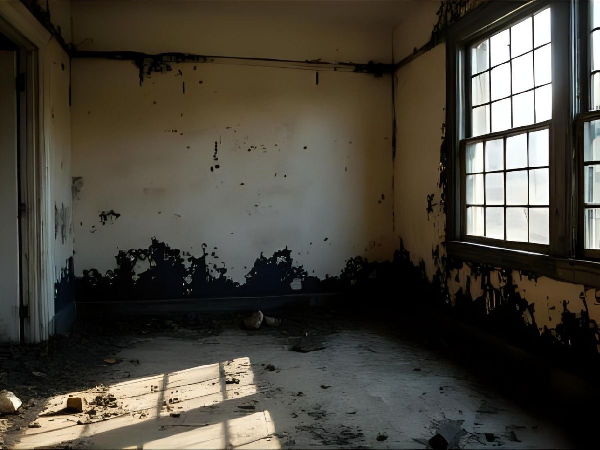 An abandoned room with peeling black paint on the walls and floor, lit by a bright window casting grid shadows.