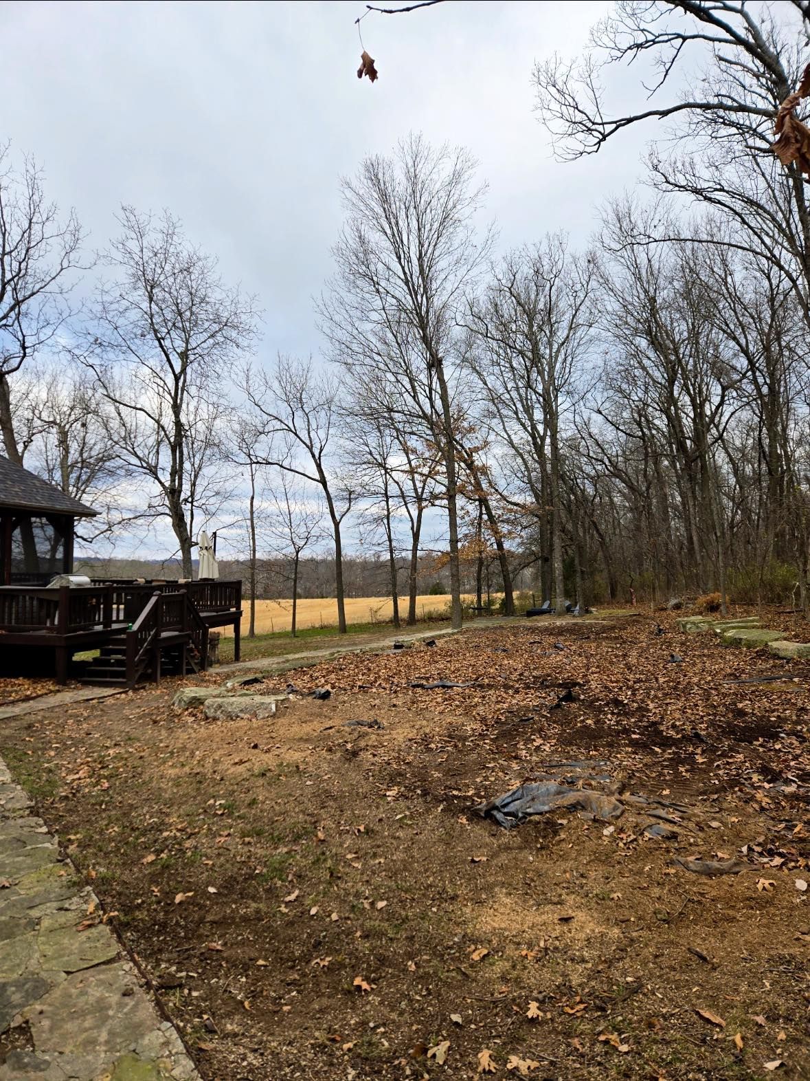 A cleared outdoor space in front of a house, surrounded by trees, with a deck on the left and a field in the distance.