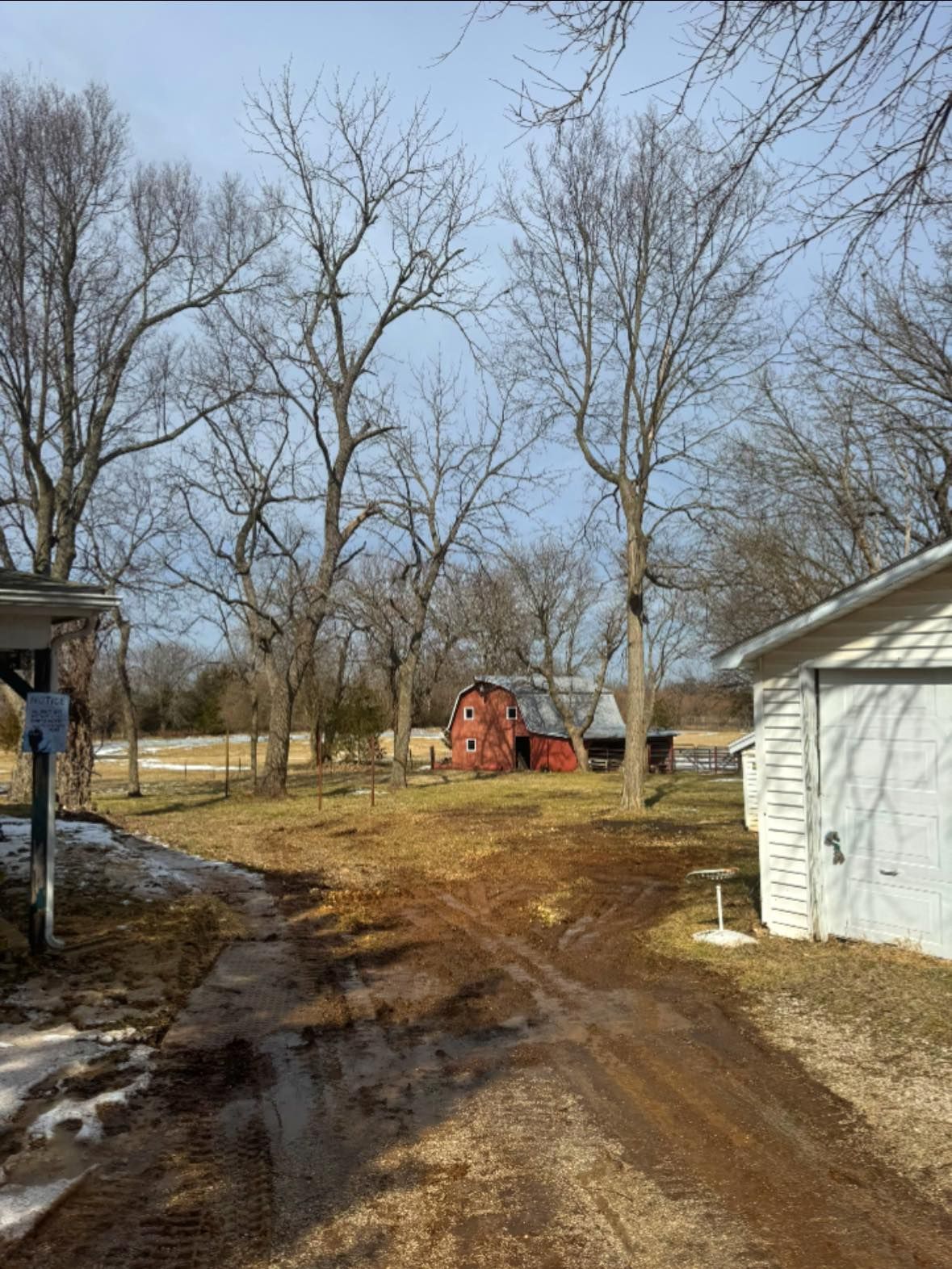 Dirt driveway leading to red barn between leafless trees. White building on right. Cloudy sky.