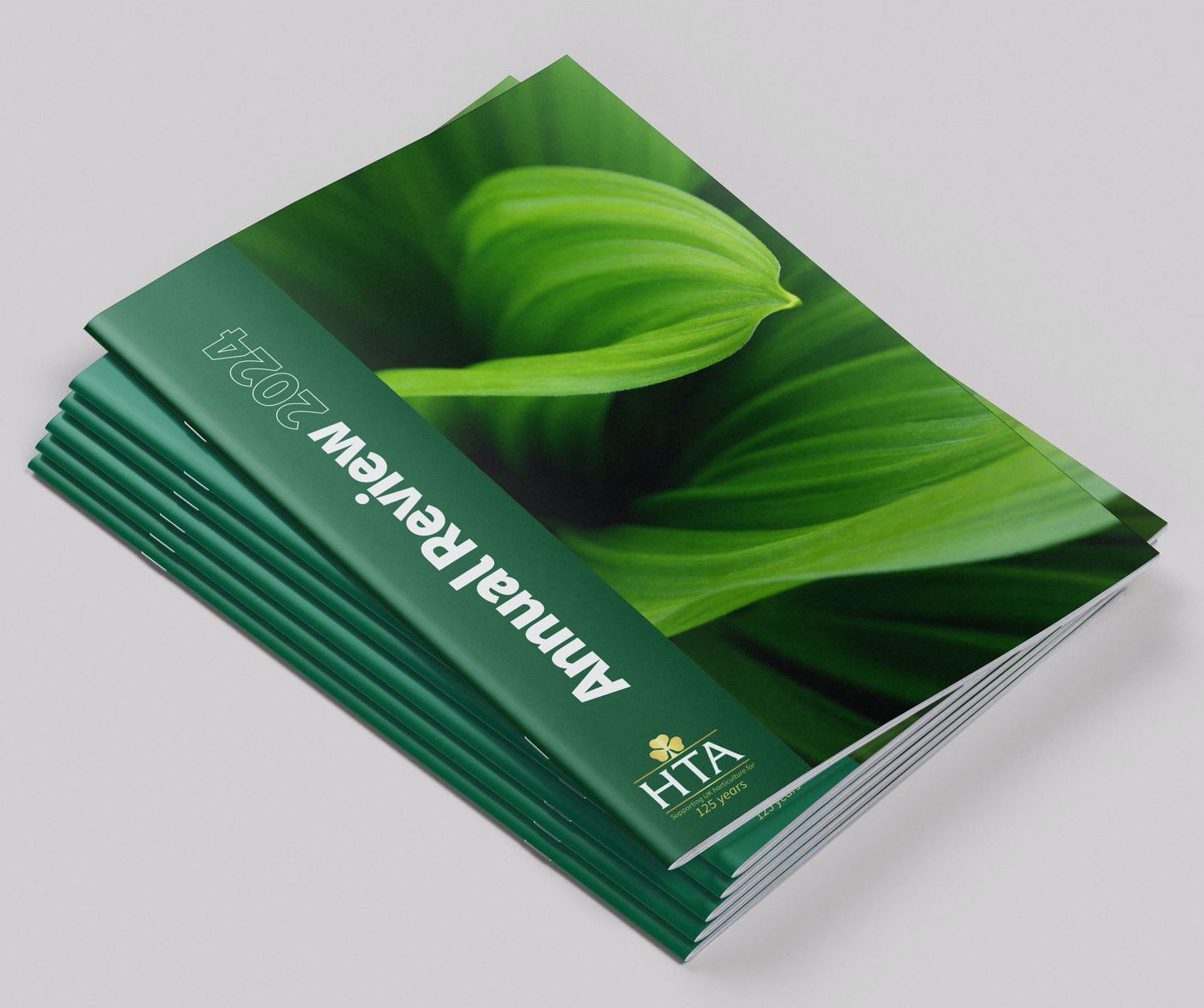The 2020 HTA Annual Review