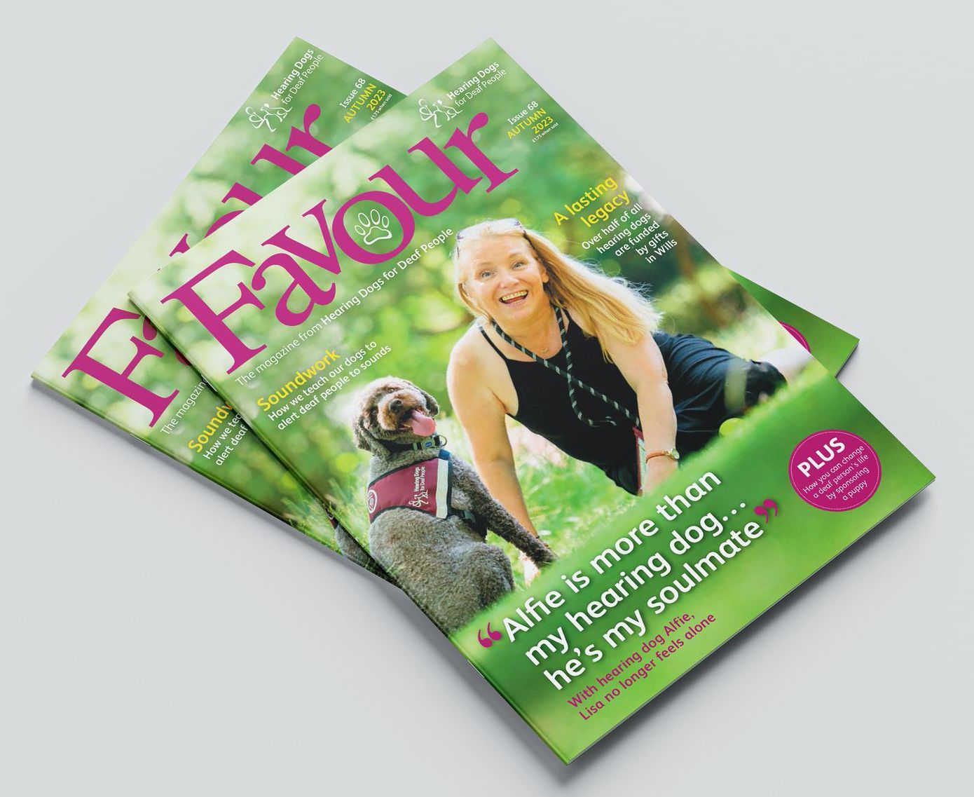 Hearing Dogs August