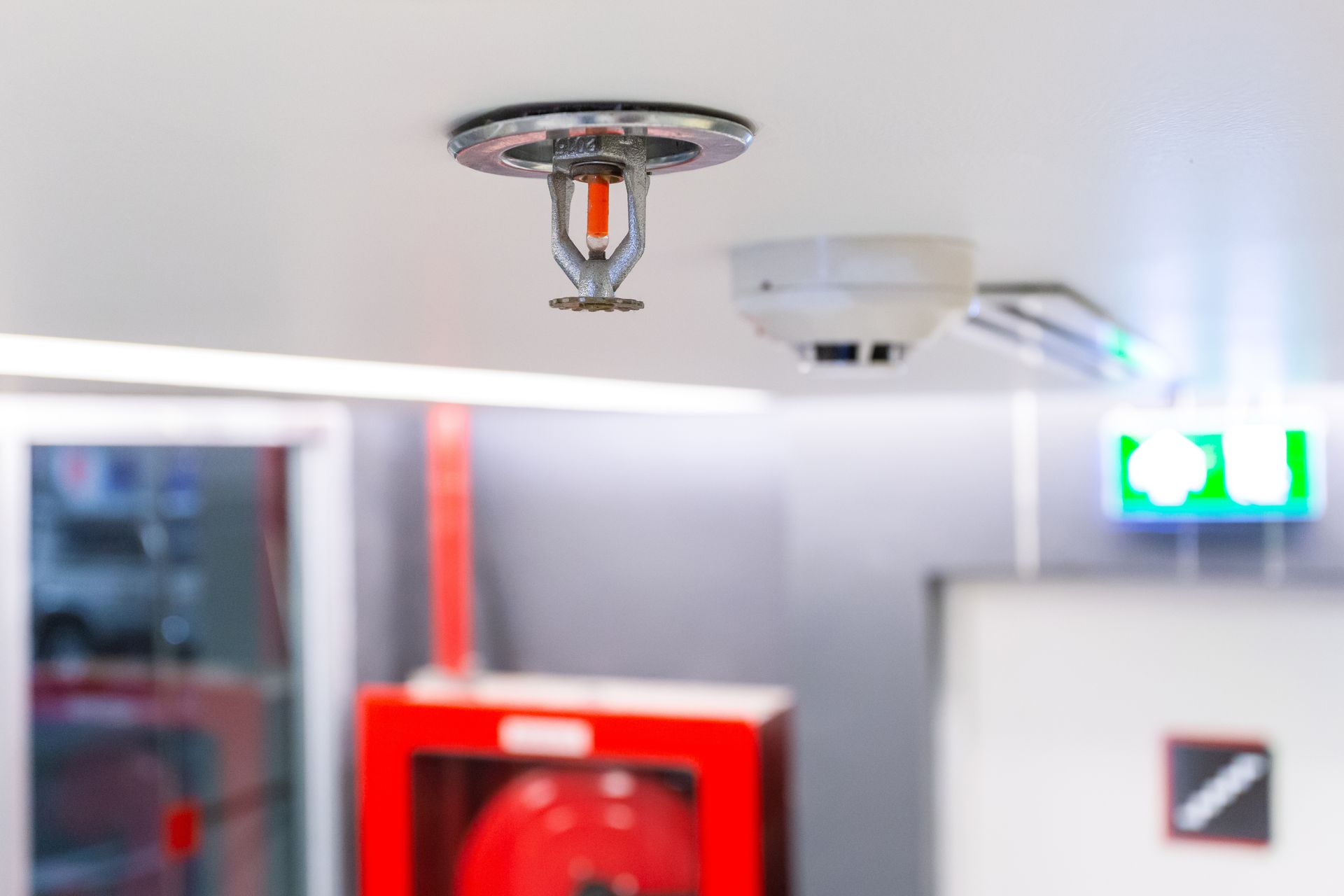 Fire sprinkler and smoke detector on a white ceiling, with red fire hose cabinet and exit sign in the background.