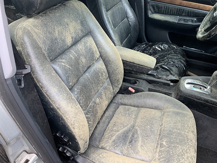 Odor, Moisture & Mold Remediation