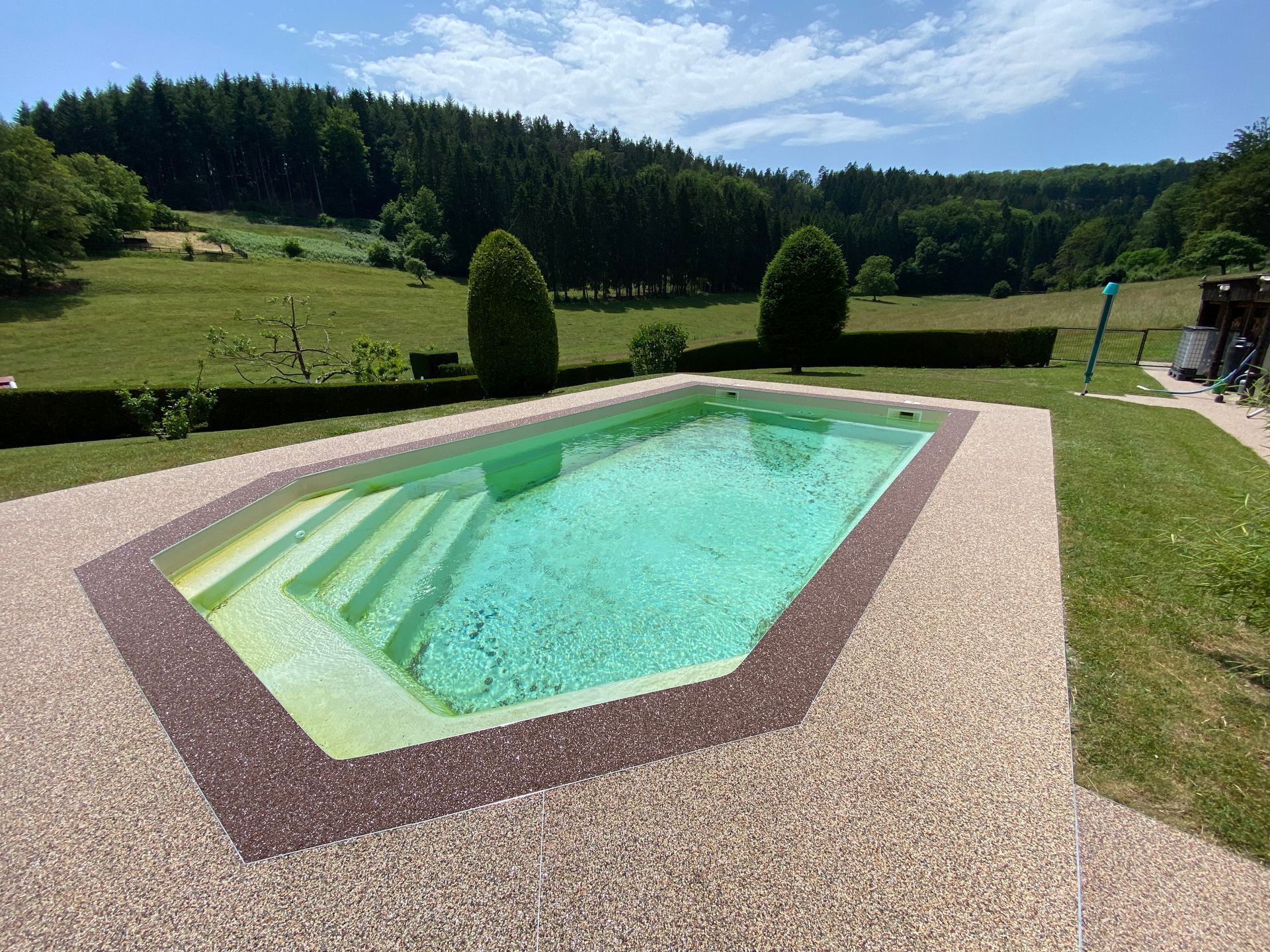 Une grande piscine avec des escaliers entourée d'herbe et d'arbres