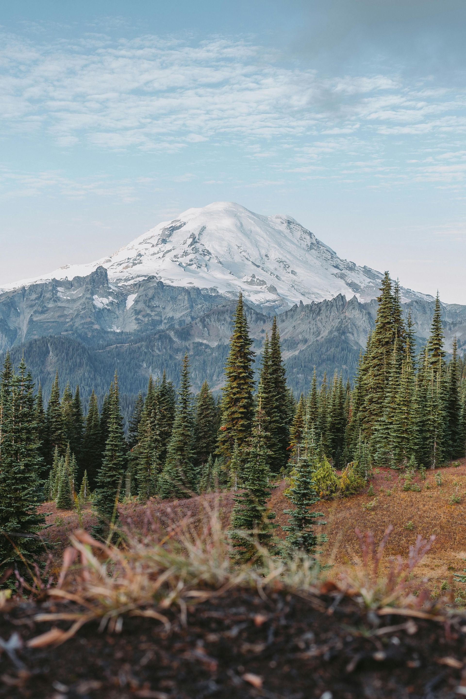 Earthquake Insurance WA | Mount Rainier Swarm July 2025

