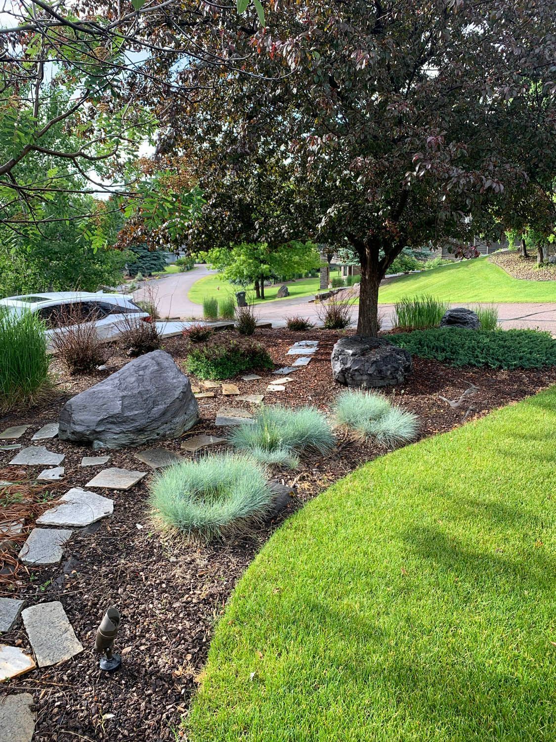 A lush green lawn with a tree in the background and a stone walkway.