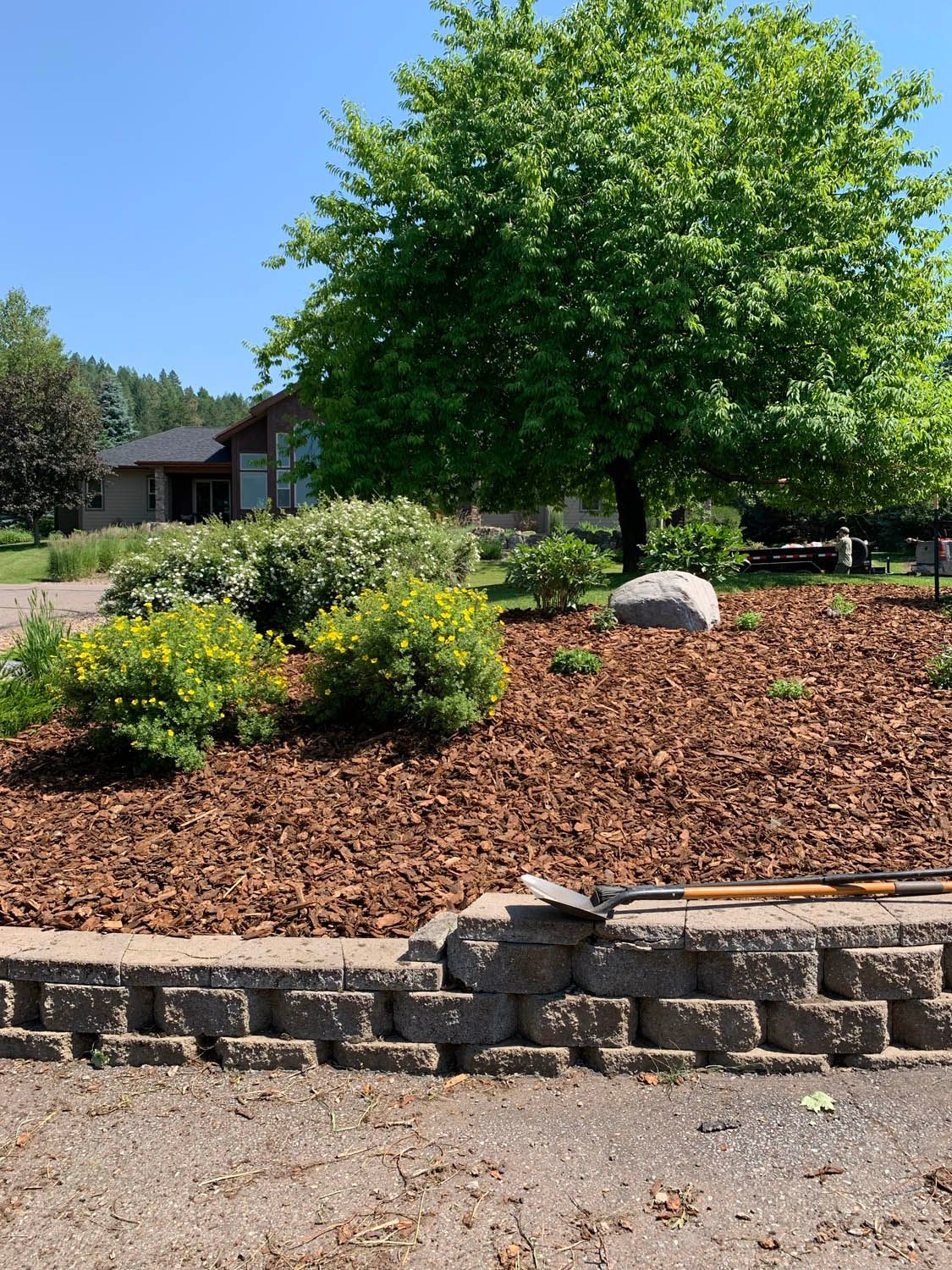 A brick wall is being built in a garden with mulch and a tree in the background.