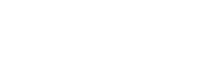 LeConte Orthopedics logo