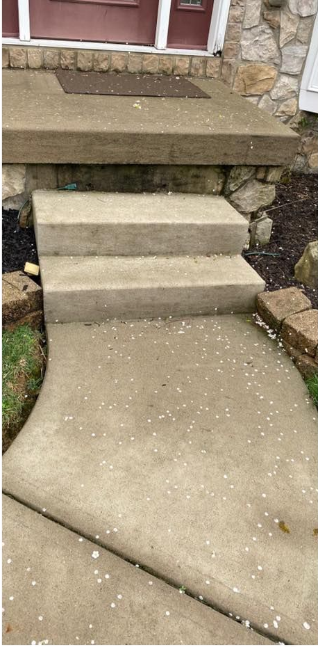 Concrete steps and walkway leading to a house entrance. White specks cover the surfaces.