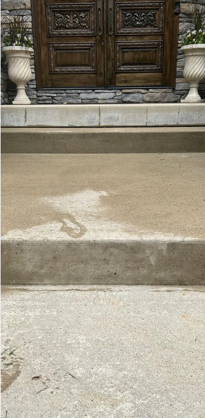 Stone steps leading to carved wooden doors, flanked by white urns with plants.