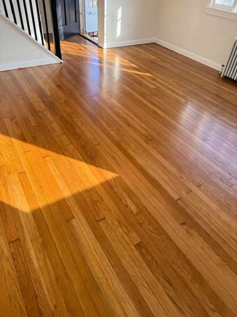 Hardwood floor in a room, with sunlight illuminating the surface.