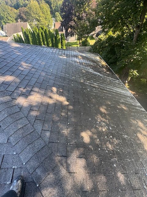 Gray asphalt shingle roof with moss and debris, viewed from above, surrounded by trees and a sunny sky.