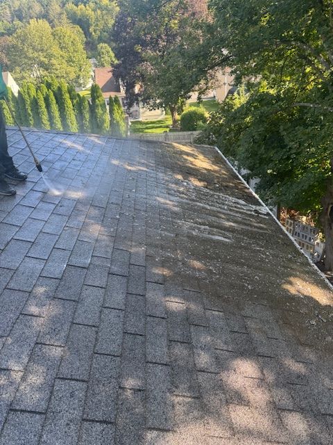 Person pressure washing a roof, cleaning moss and algae.