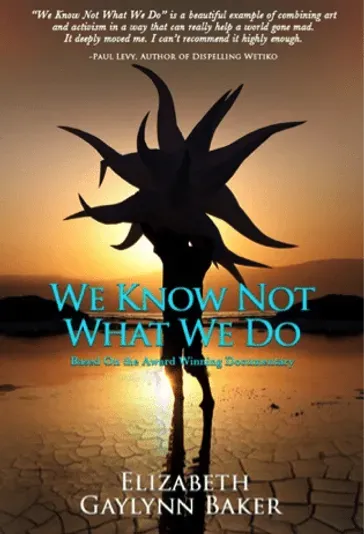 Book cover: Silhouette of a person with spiky shape above, setting sun, title 