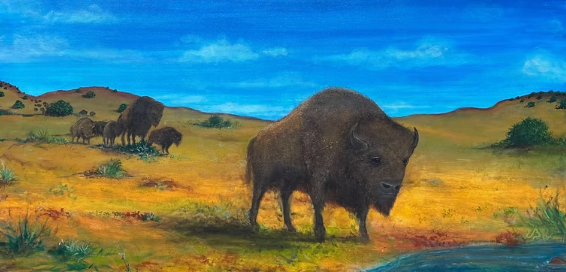 A bison stands in a grassy field with other bison. The sky is blue and the ground is yellow.
