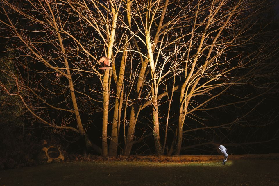 Lampada architetturale per alberi