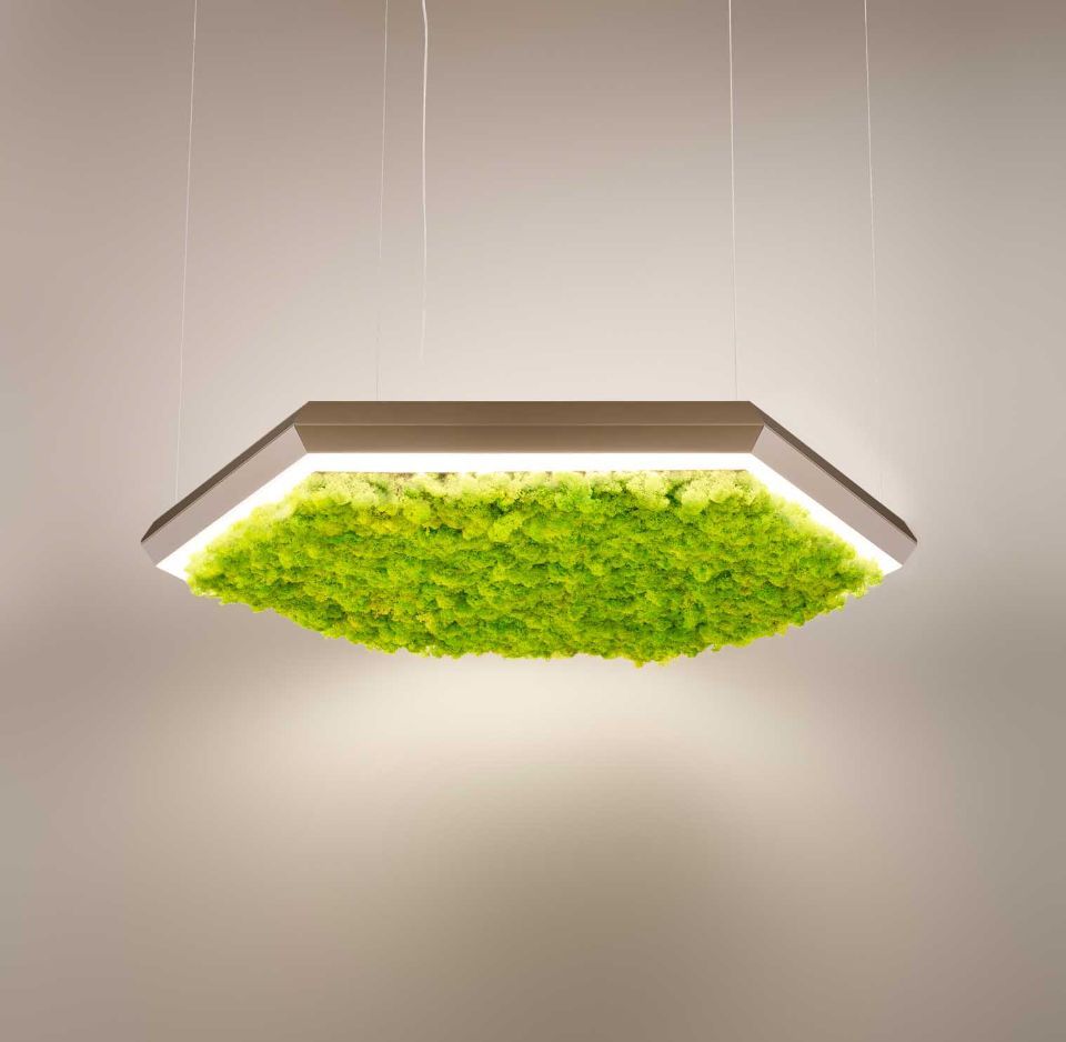 Lampada fonoassorbente verde