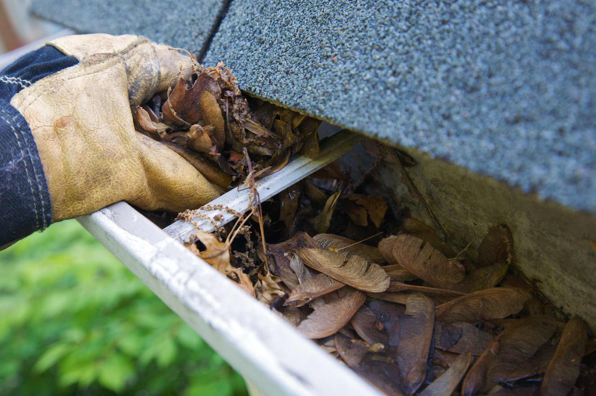 Removing Leaves in Gutter — Powhatan, VA — Tri -City Gutters