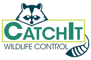 CatchIt-Wildlife-Control-Logo