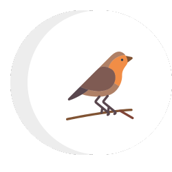 a bird is sitting on a branch in a circle .