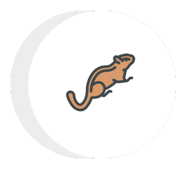 an icon of a chipmunk in a circle on a white background .