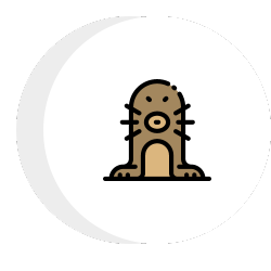 an icon of a mole in a circle on a white background .