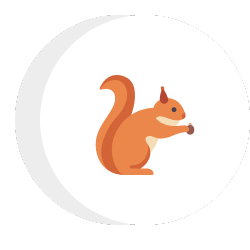 a squirrel is sitting in a circle holding a nut .