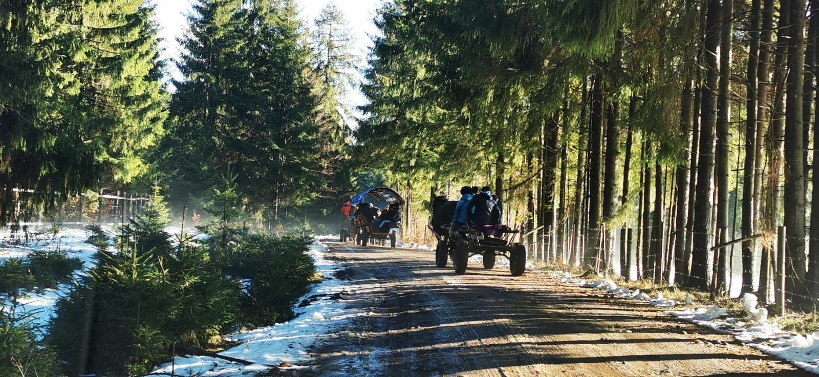 Időutazás, Fenyőkút, tanya, ebéd, sajt, szekér, szán, Szilveszter, Lovastúrák Korondon
