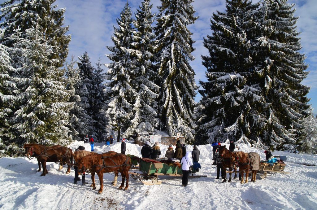 lovastúrák Korondon rövid szekér szán Szilveszter