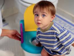 To Pot or Not to Pot? - Some Thoughts on Potty Training and How to Survive It