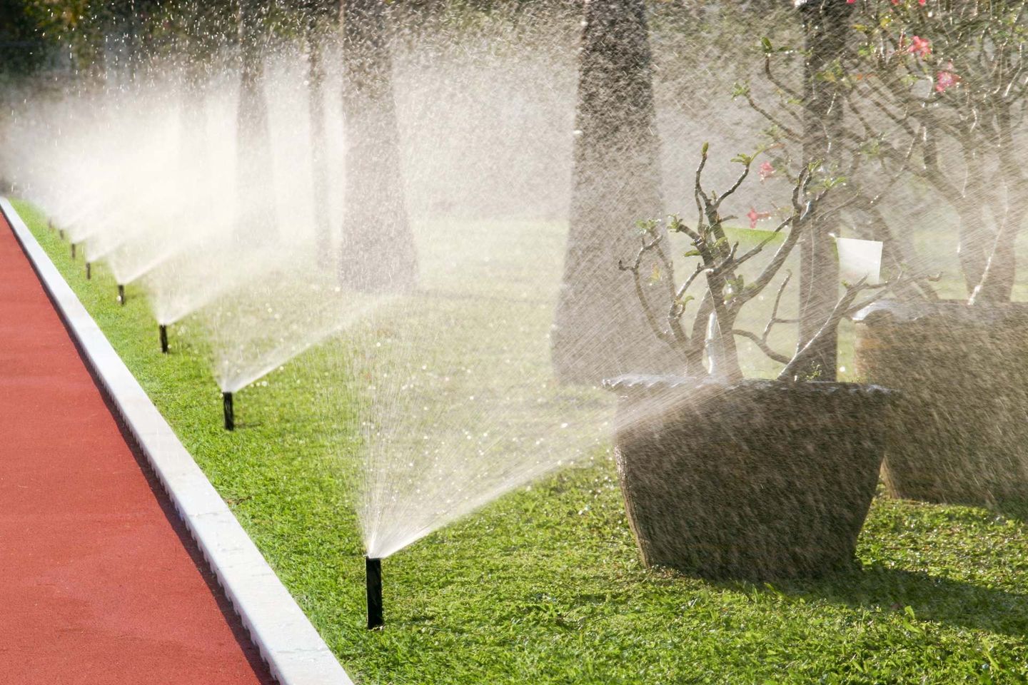 Lawn Sprinkler Repair Essex County