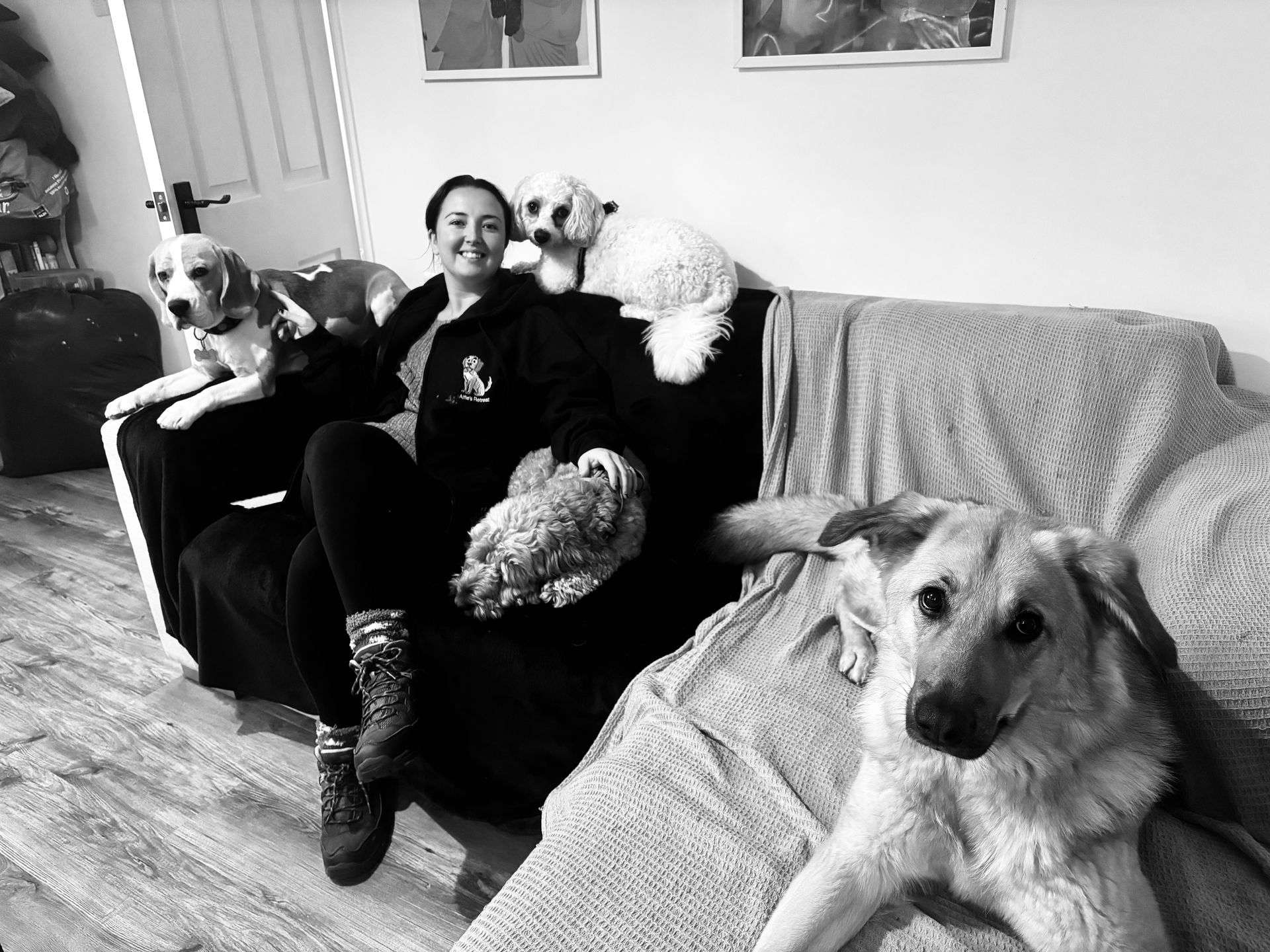 A dog customer of Alfie’s Retreat Dog Boarding and Wedding Chaperone, Bridgend.