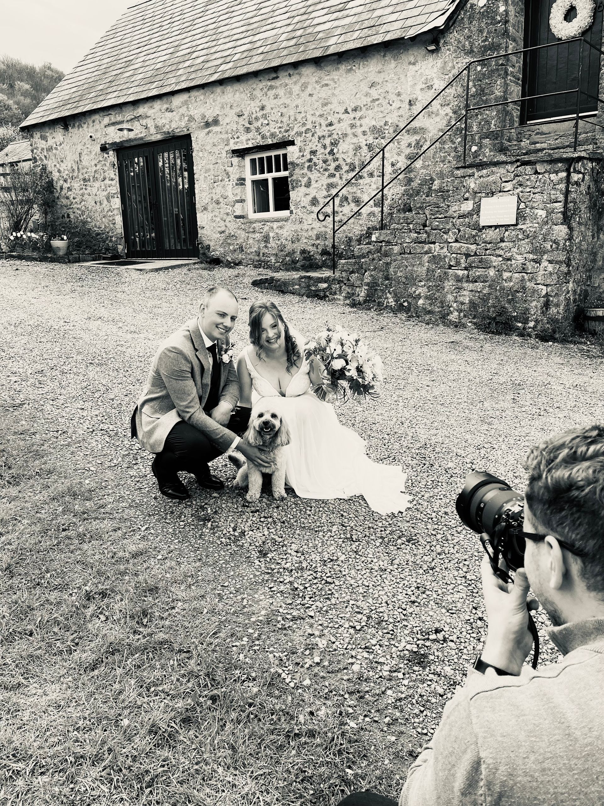A wedding chaperone dog from Alfie’s Retreat Bridgend and Cardiff.