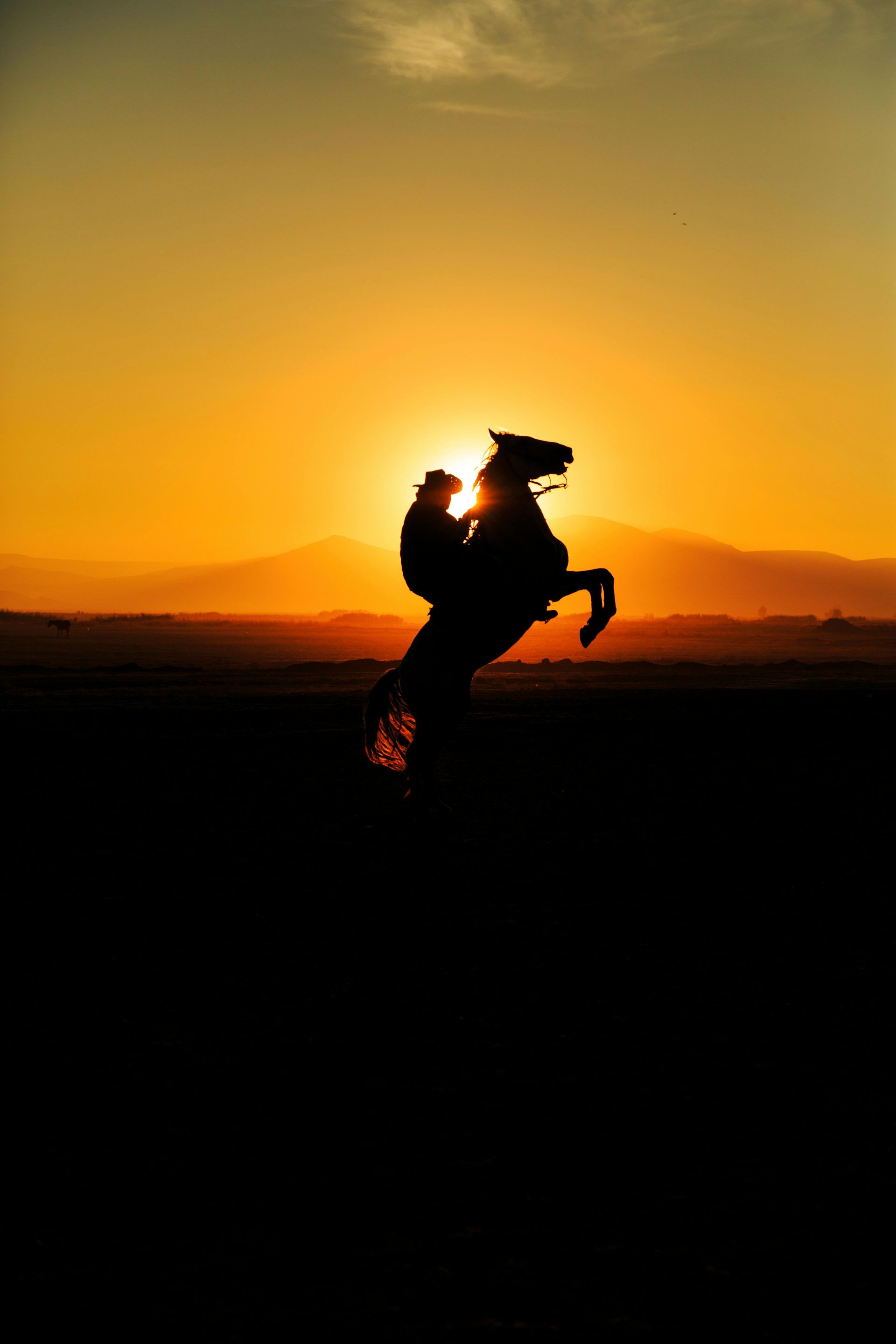Silhouette of a horse rearing with a rider against an orange sunset.