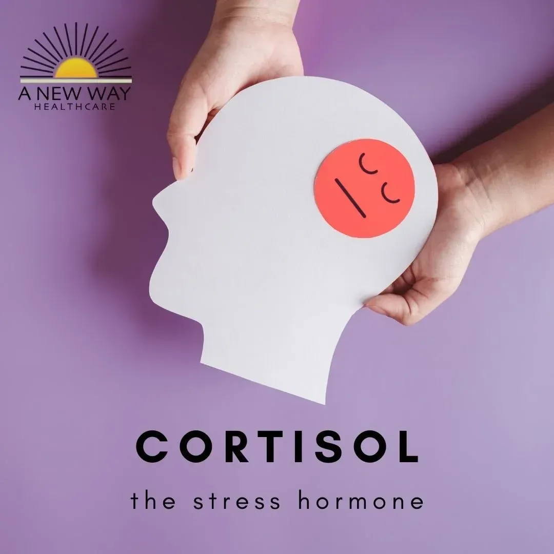 Hands holding a white head cutout with a red, stressed face on a purple background. Text: Cortisol, the stress hormone.