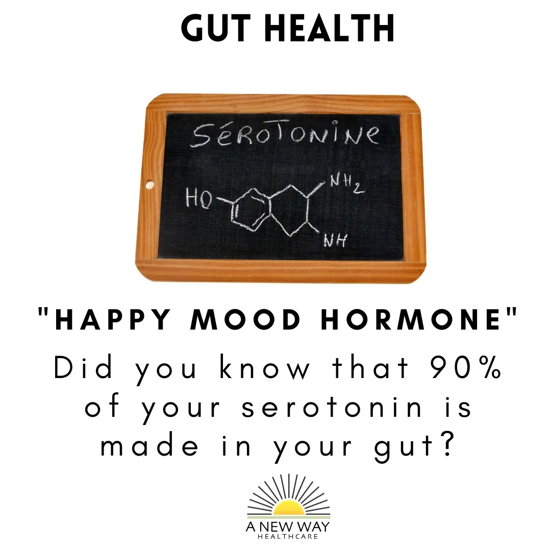 Graphic about gut health, featuring a chalkboard showing serotonin's chemical structure and text: 
