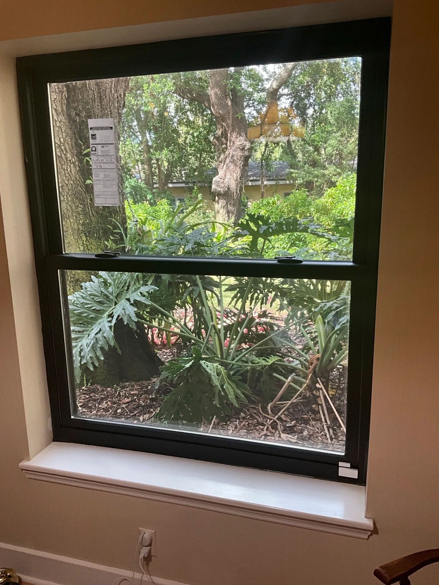 A window in a room with a view of trees and bushes.