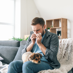 a man is sitting on a couch with a dog and blowing his nose with congestion 