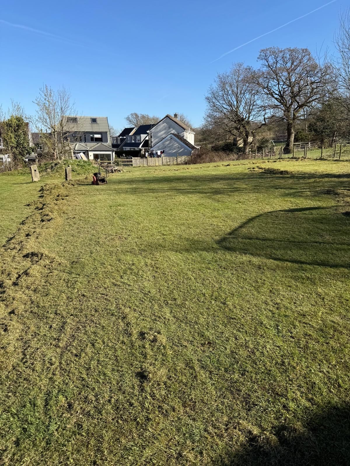 Grassy field with houses in the background on a sunny day.